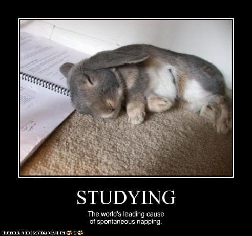 Cover Image for Studying